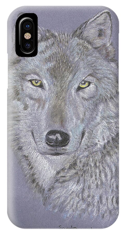 Sandra Muirhead Artist Timber Wolf Portrait Animals Wild Animals Wild Life  iPhone X Case featuring the pastel Timber wolf portrait by Sandra Muirhead