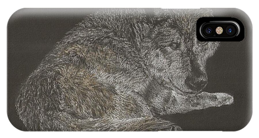 Sandra Muirhead Artist Timber Wolf Animals People Portraits Pencil Pastel Conte Animals Wild iPhone X Case featuring the pastel Timber wolf by Sandra Muirhead