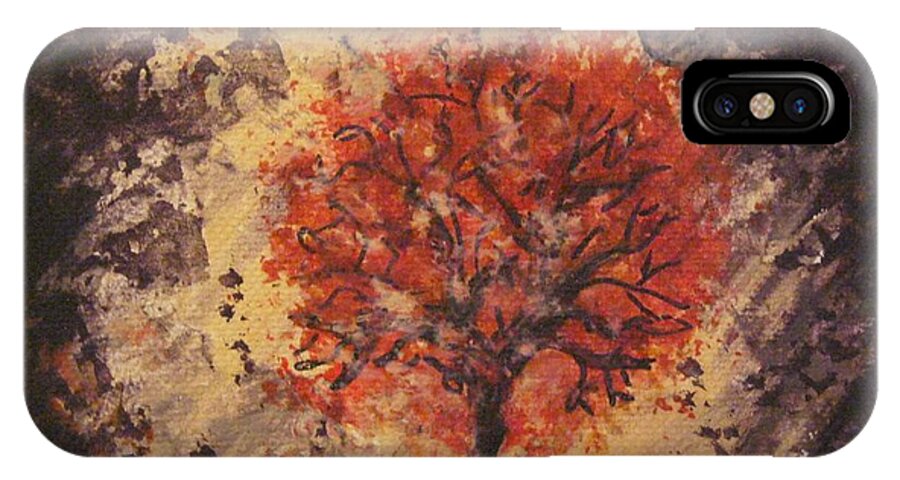  iPhone X Case featuring the painting Time to Reflect by Jacqui Hawk