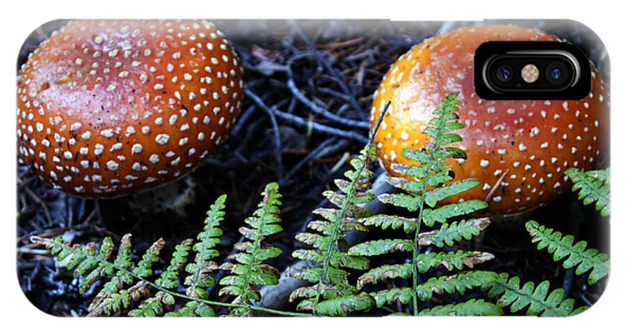 Mushrooms iPhone X Case featuring the photograph Toadstool by Edward Hawkins II