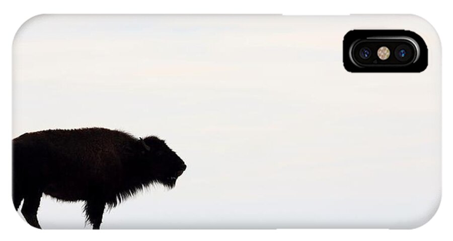 Buffalo iPhone X Case featuring the photograph Top Of The Ridge by Donald J Gray