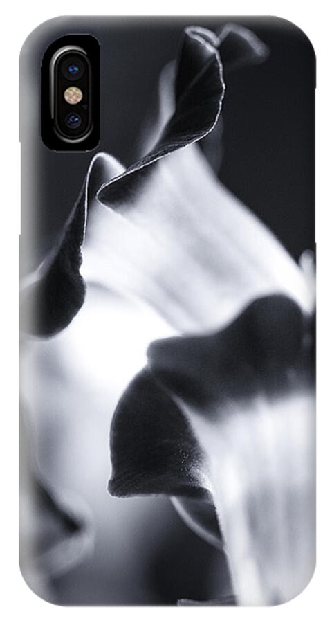 Black And White iPhone X Case featuring the photograph Torenia in BW by Maria Robinson