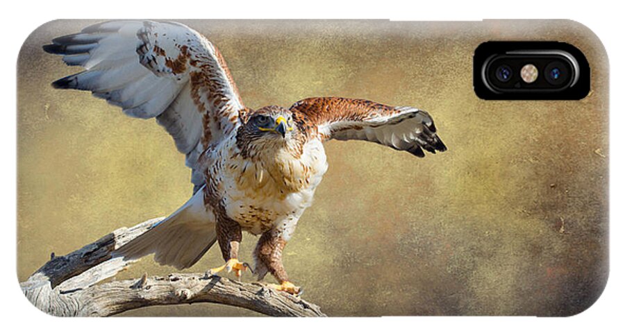 Hawk iPhone X Case featuring the photograph Touch Down by Barbara Manis