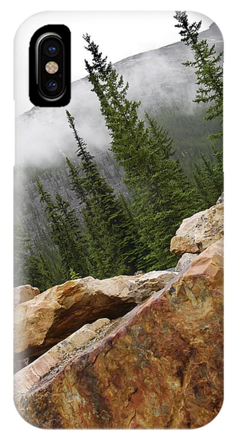 Photograph iPhone X Case featuring the photograph Transition by Rhonda McDougall