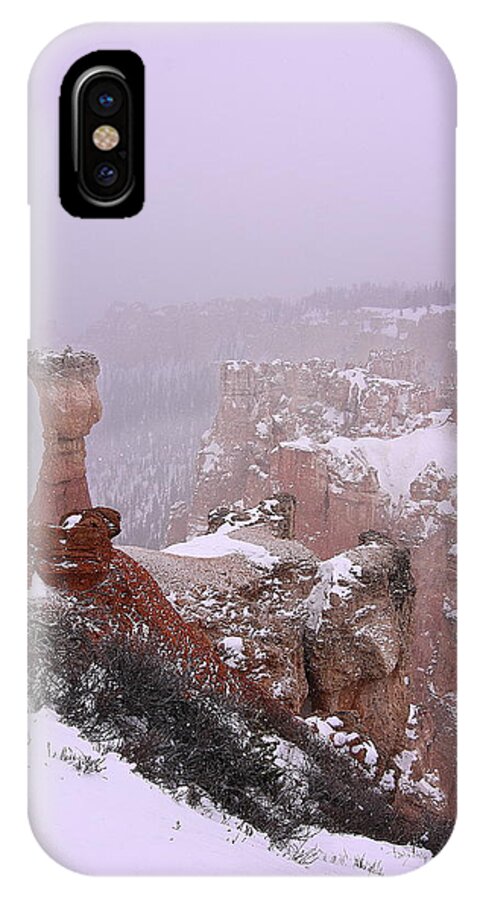 Bryce iPhone X Case featuring the photograph Transmission by Viktor Savchenko