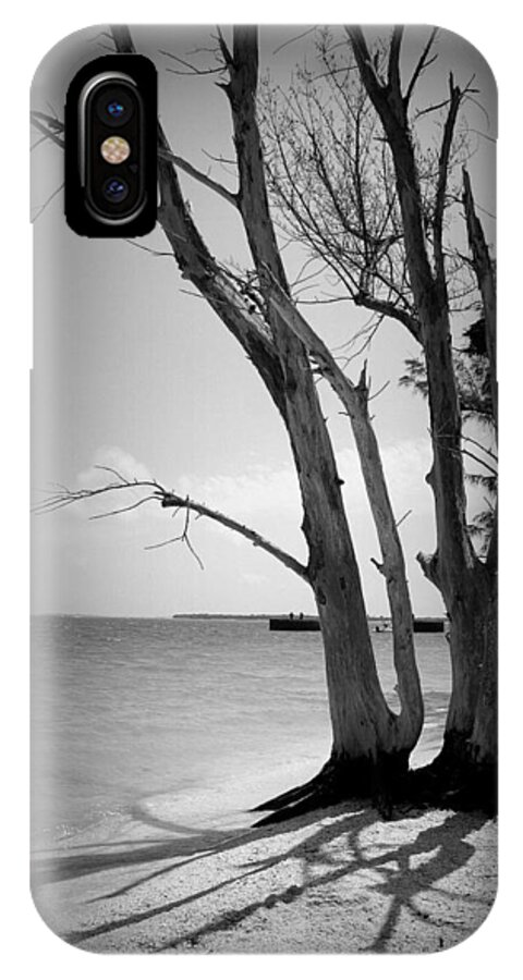 Tree iPhone X Case featuring the photograph Tree by the Sea by Laurie Perry