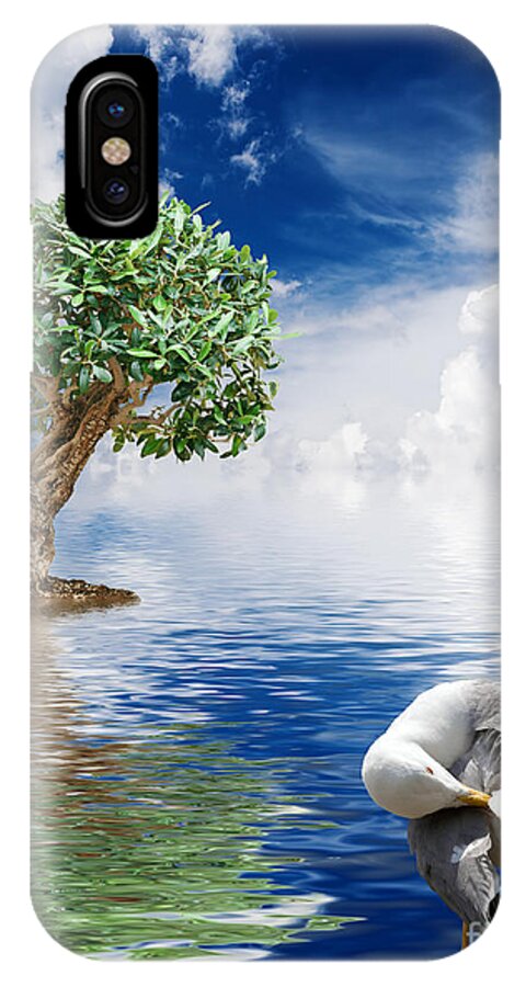 Abstract iPhone X Case featuring the photograph Tree Seagull And Sea by Antonio Scarpi