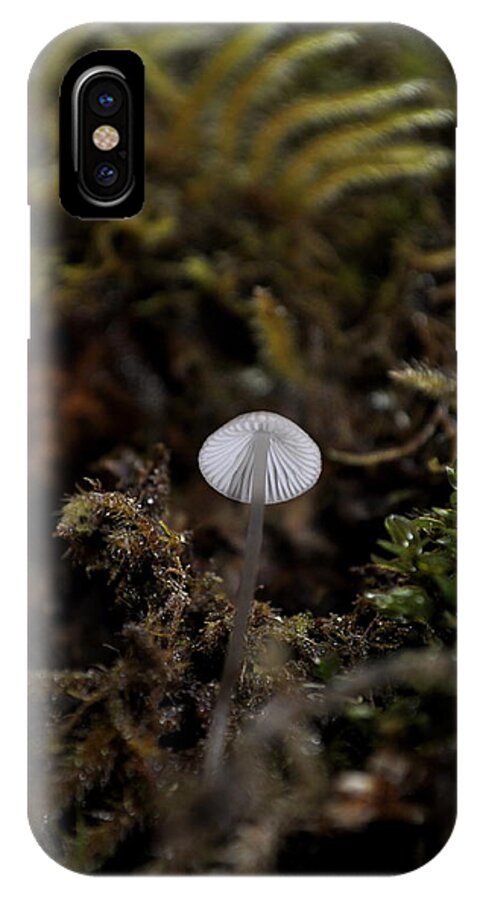 Tiny iPhone X Case featuring the photograph Tree 'Shroom by Cathy Mahnke