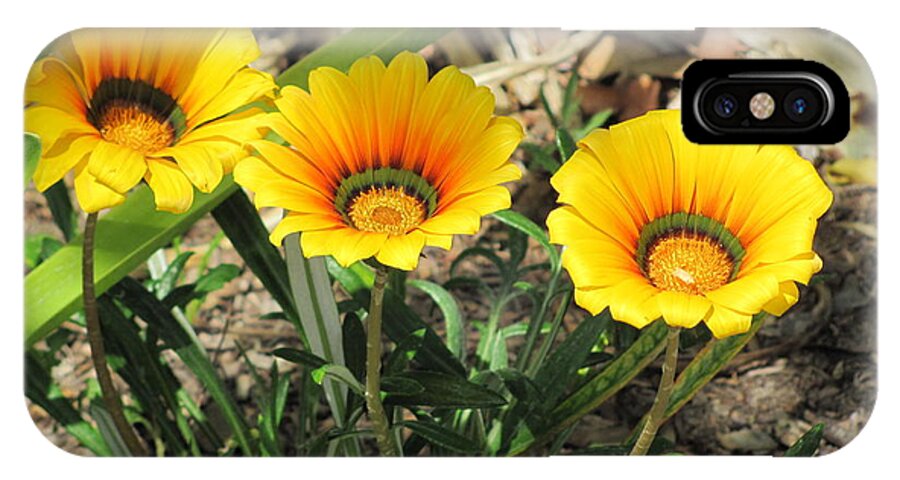 Flowers iPhone X Case featuring the photograph Triplets by Dody Rogers