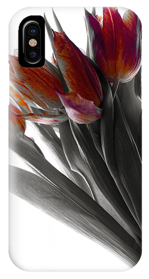 Tulips iPhone X Case featuring the photograph Tulip Color Block by Joseph Hedaya