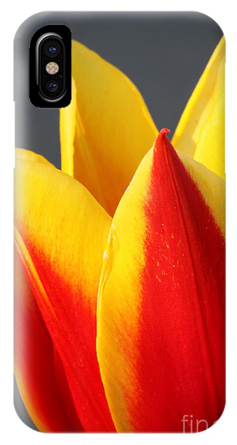 Macro iPhone X Case featuring the photograph Tulip by Todd Blanchard