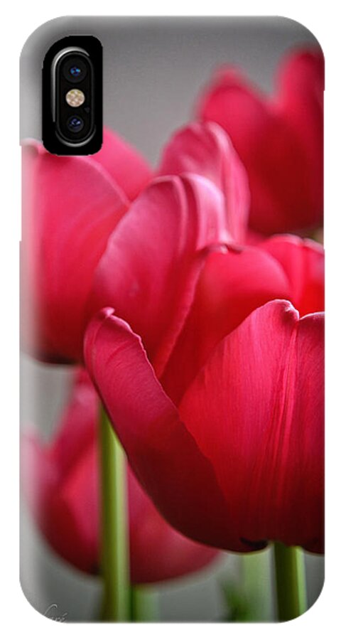 Pink Tulips iPhone X Case featuring the photograph Tulips in the Morning Light by Mary Machare