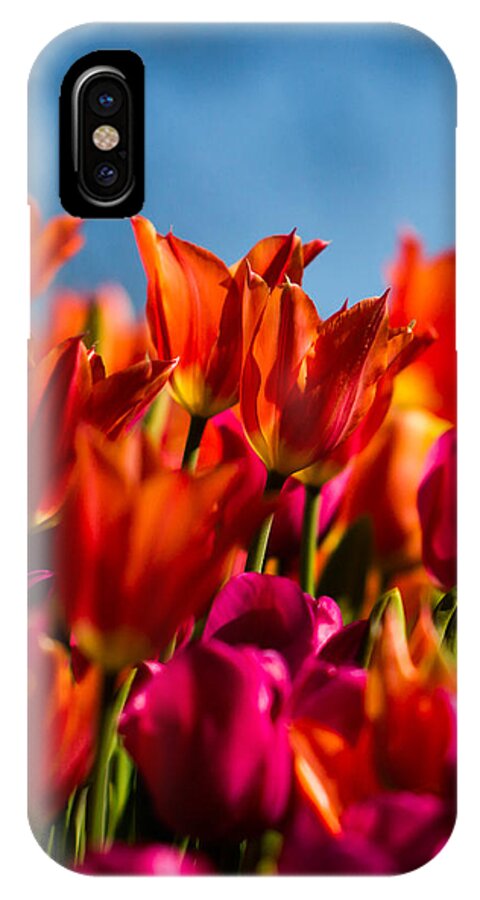 Cheekwood iPhone X Case featuring the photograph Tulips by Paula Ponath