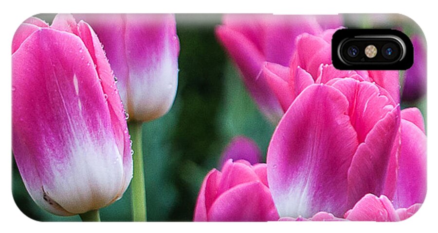 Natural iPhone X Case featuring the photograph Tulips by Sergey Simanovsky