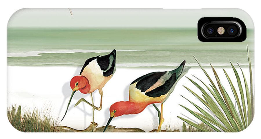 Avocets iPhone X Case featuring the painting Two Avocets by Anne Beverley-Stamps