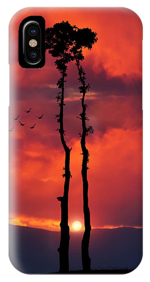 Amazing iPhone X Case featuring the photograph Two Oaks together in the field at sunset by Bess Hamiti