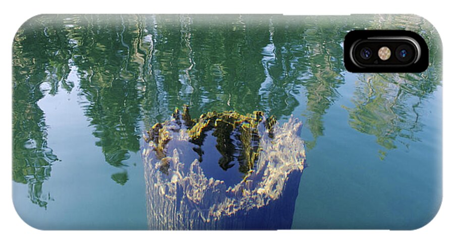 Under iPhone X Case featuring the photograph Underwater Tree Trunk by Shelley Ewer