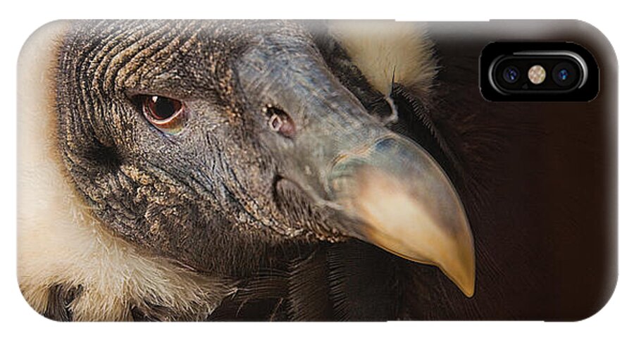Vulture Photographs iPhone X Case featuring the digital art Vallerie by David Davies
