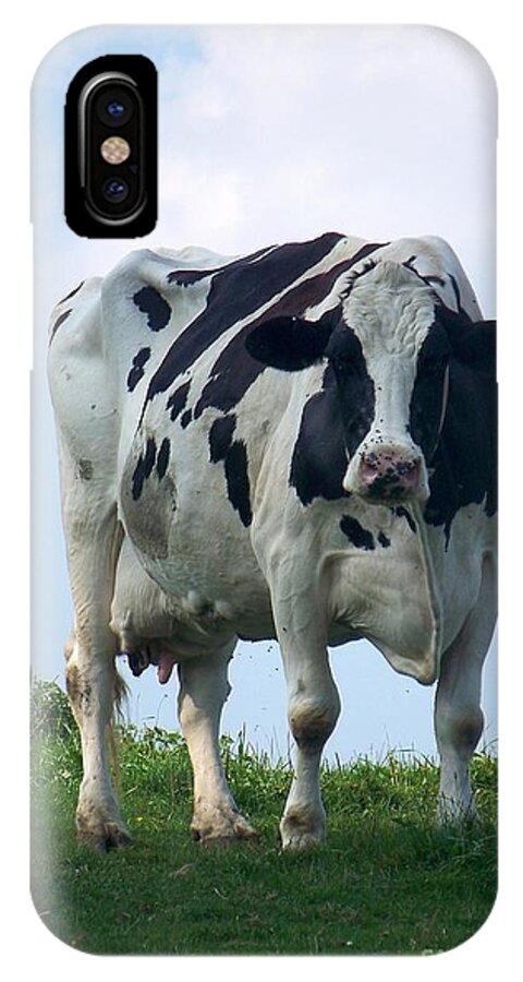 Cows iPhone X Case featuring the photograph Vermont Dairy Cow by Eunice Miller