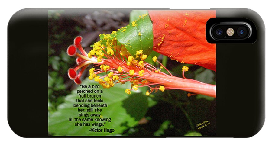 Flower Photograph iPhone X Case featuring the photograph Victor Hugo by Michele Penn