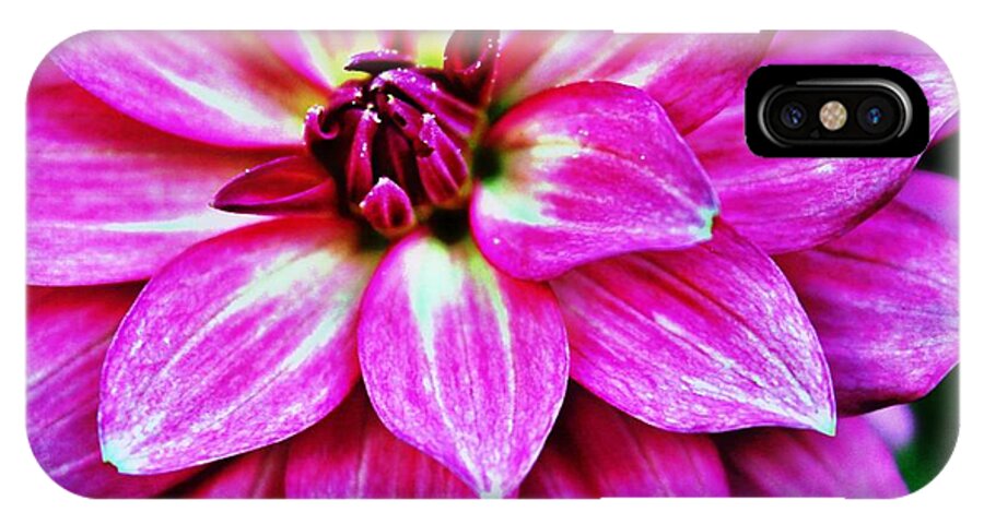 Dahlia iPhone X Case featuring the photograph Virbrant Pink Dahlia by Judy Palkimas