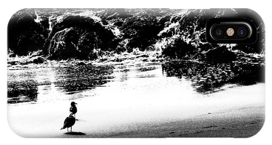 Beach iPhone X Case featuring the photograph Waiting For Their Meal Black and White by Jim Moss