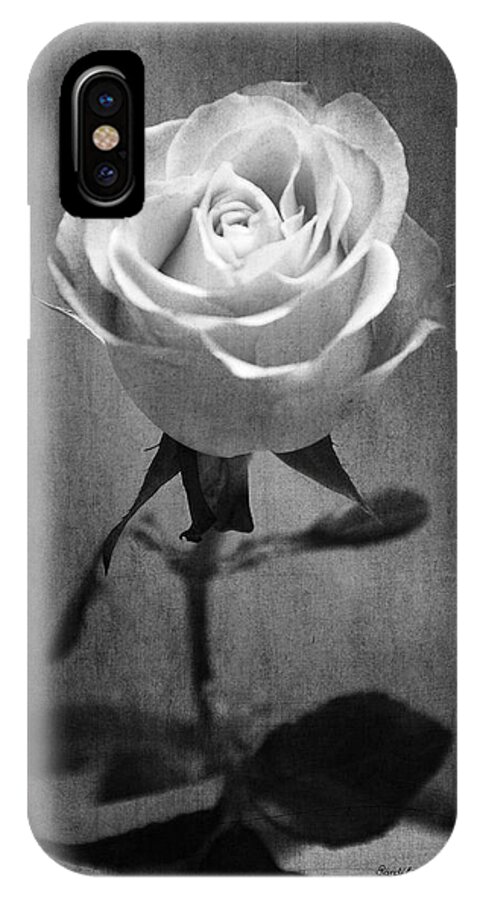 Rose iPhone X Case featuring the photograph Waiting to be Given by Randi Grace Nilsberg