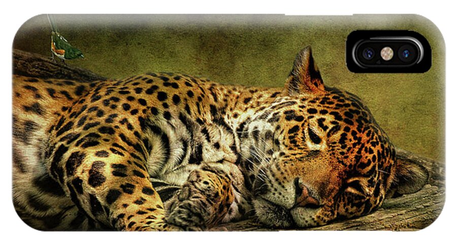 Leopard iPhone X Case featuring the photograph Wake Up Sleepyhead by Lois Bryan