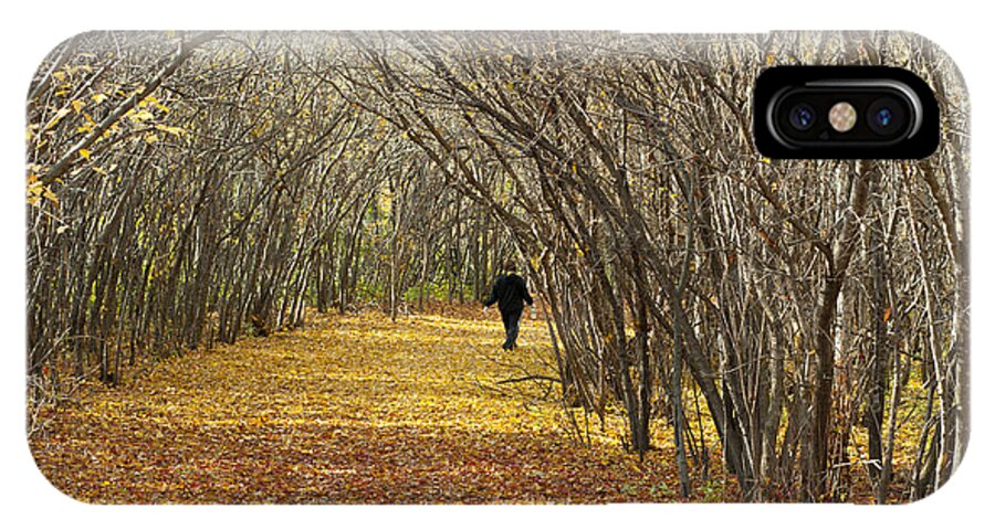 Autumn iPhone X Case featuring the photograph Walking a Golden Road by Lynn Hansen