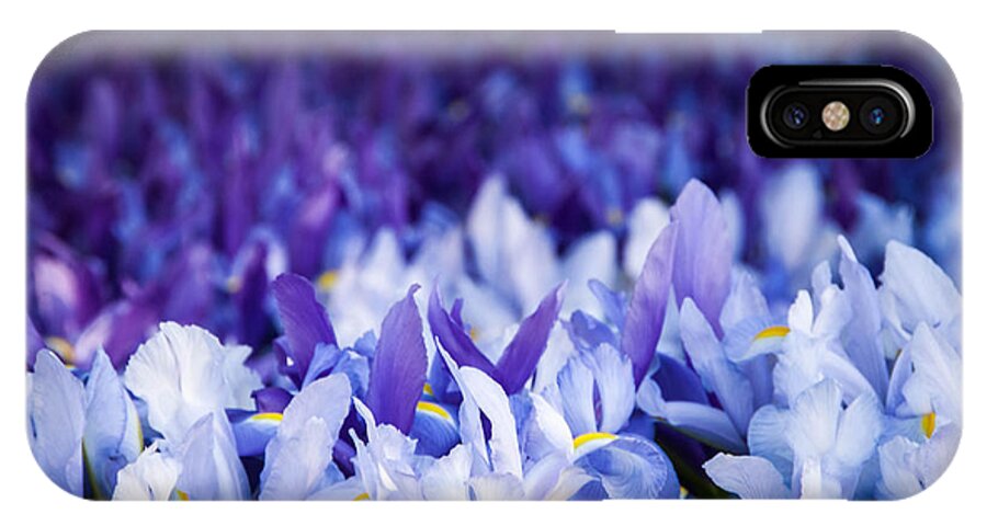 ©connie Cooper-edwards iPhone X Case featuring the photograph Wall of Purple Iris by Connie Cooper-Edwards