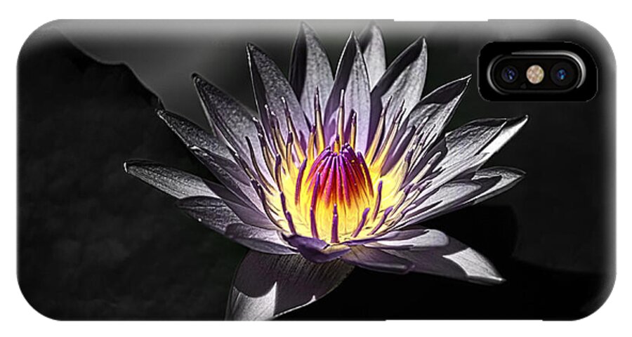 Plant iPhone X Case featuring the photograph Water Lilly in HDR by Michael White