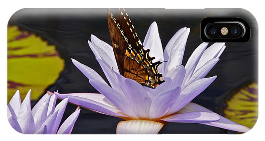 Butterfly And Water Lily iPhone X Case featuring the photograph Water Lily and Swallowtail Butterfly by Byron Varvarigos