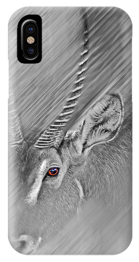 #waterbuck iPhone X Case featuring the photograph Waterbuck by Miroslava Jurcik