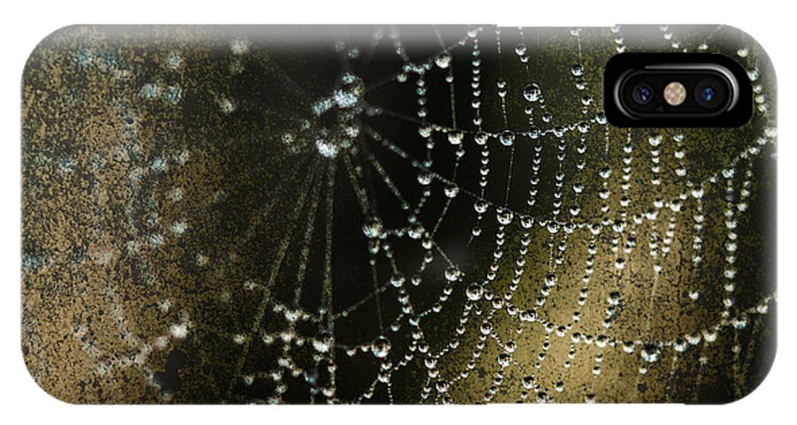 Spider Web iPhone X Case featuring the photograph Web in the Mist by Paula Ponath