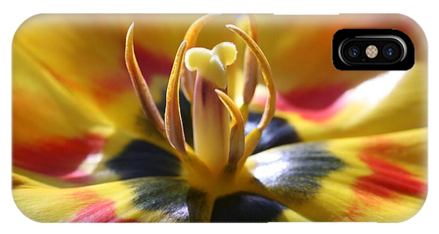 Macro iPhone X Case featuring the photograph Welcome by Doug Norkum