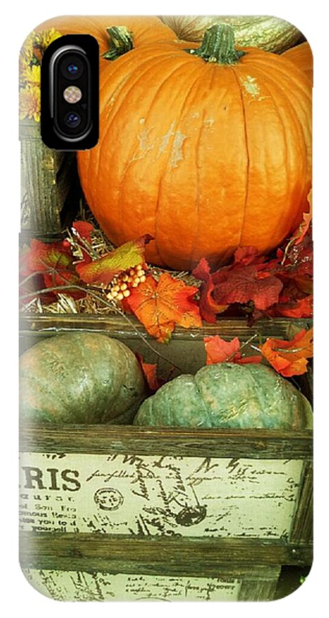 Pumpkins iPhone X Case featuring the photograph Welcome to Fall by Michelle Frizzell-Thompson