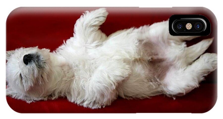 West Highland Terrier iPhone X Case featuring the digital art Westie taking a nap by Carrie OBrien Sibley