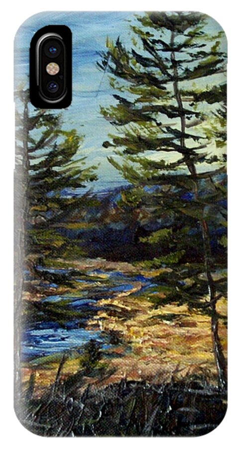 Adirondacks iPhone X Case featuring the painting Wetland Meadow by Denny Morreale