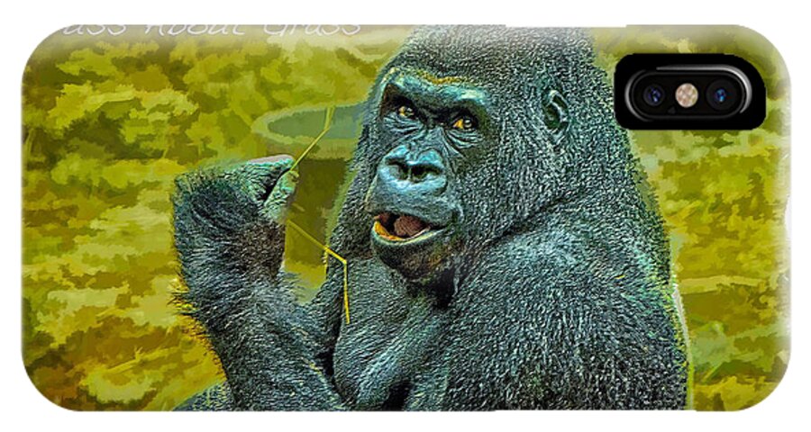 Primate iPhone X Case featuring the photograph What Is All The Fuss About Grass by Constantine Gregory