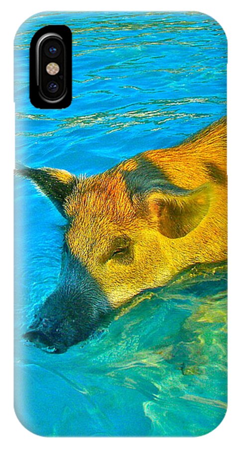 Pigs iPhone X Case featuring the photograph When Pigs Swim by Kim Pippinger