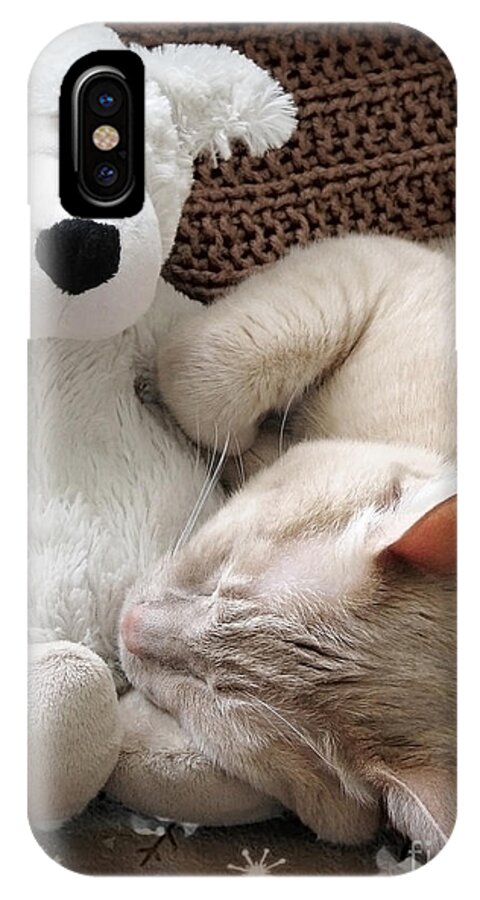 Cat iPhone X Case featuring the photograph While Visions of Tuna Fish by Ellen Cotton