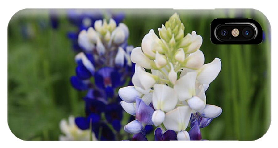 White iPhone X Case featuring the photograph White BlueBonnet by Jerry Bunger