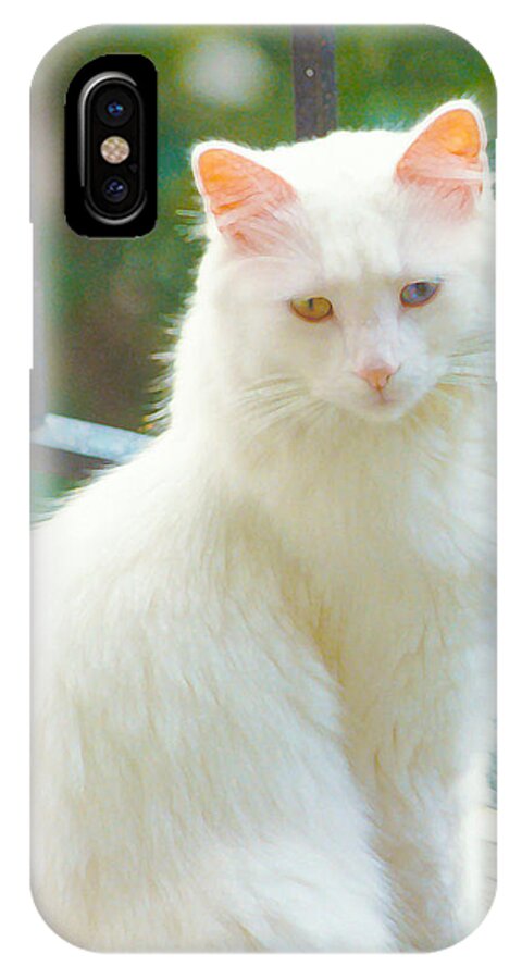 White Cat iPhone X Case featuring the photograph White Cat by Lynn Hansen