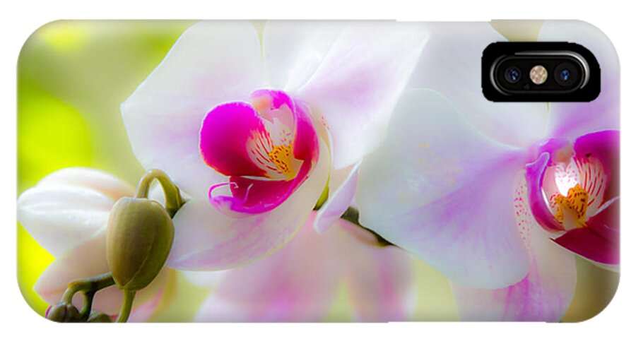 Nature iPhone X Case featuring the photograph White orchid by Agnes Caruso