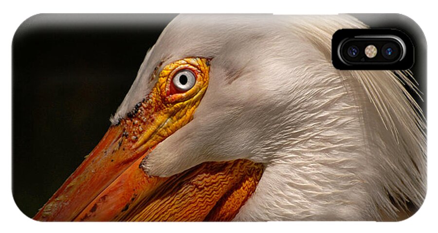 Bird iPhone X Case featuring the photograph White Pelican Portrait by Lorenzo Cassina