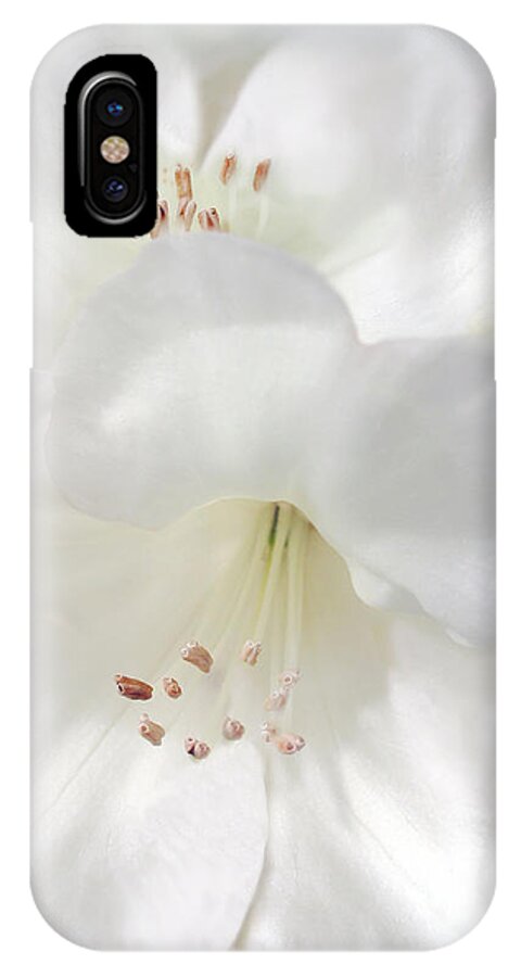 Rhododendron iPhone X Case featuring the photograph White Rhododendron Flowers by Jennie Marie Schell