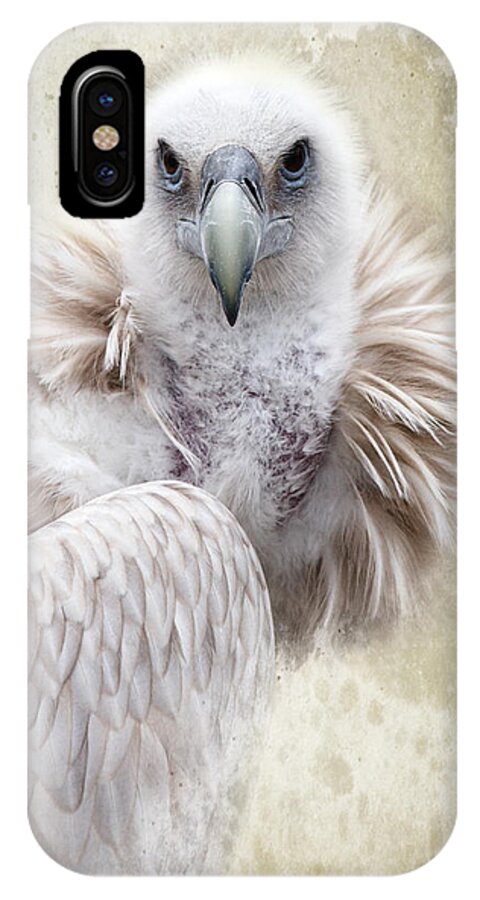 Vulture iPhone X Case featuring the photograph White Vulture by Barbara Orenya