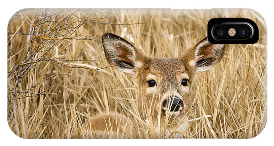 White Tail iPhone X Case featuring the photograph Whitetail in Weeds by Paul DeRocker