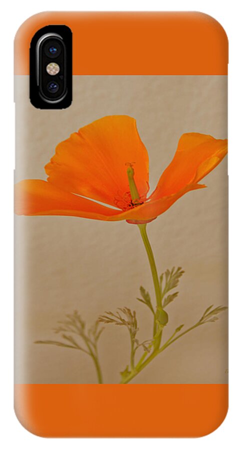 California Poppy iPhone X Case featuring the photograph Wild California Poppy No 1 by Ben and Raisa Gertsberg
