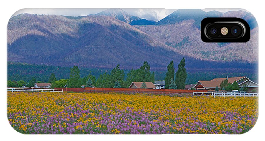Wildflowers iPhone X Case featuring the photograph Wildflowers Supreme by Tom Kelly